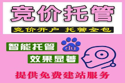 SEM推广策略：实战案例解析